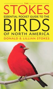 The Stokes Essential Pocket Guide to the Birds of North America