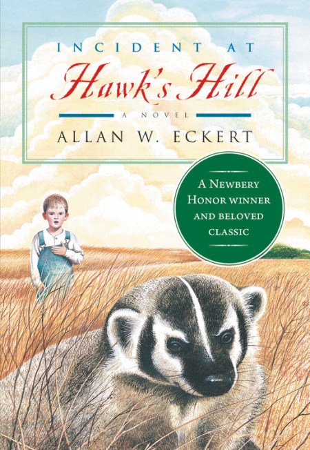 Incident at Hawk's Hill (Newbery Honor Book)