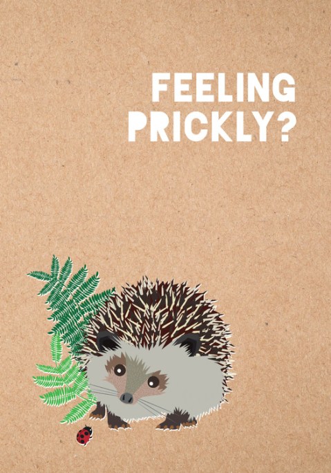 FEELING PRICKLY JOURNAL