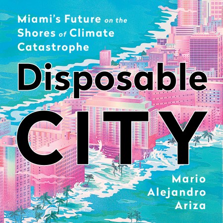 Disposable City