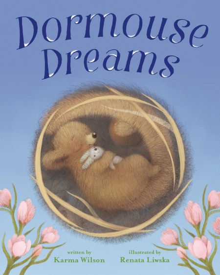 Dormouse Dreams