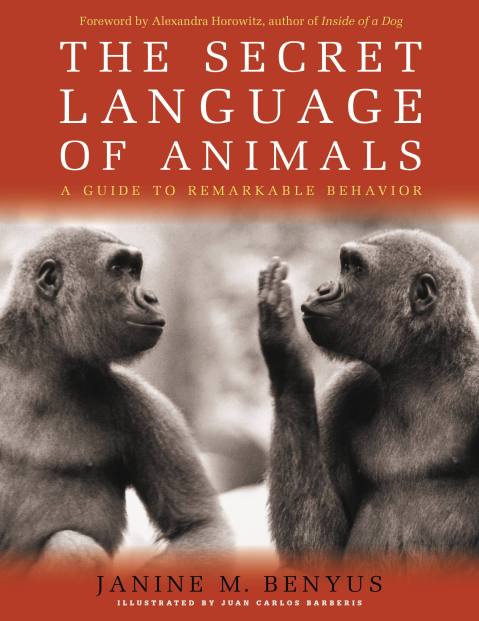 Secret Language of Animals