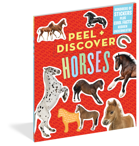 Peel + Discover: Horses