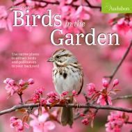 Audubon Birds in the Garden Wall Calendar 2025